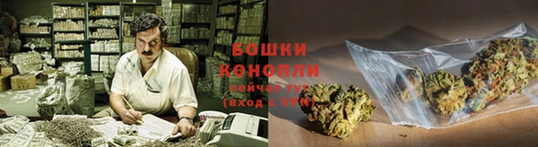 гидра Дмитриев