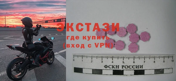 амф Ельня