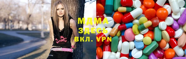 сатива Дмитров
