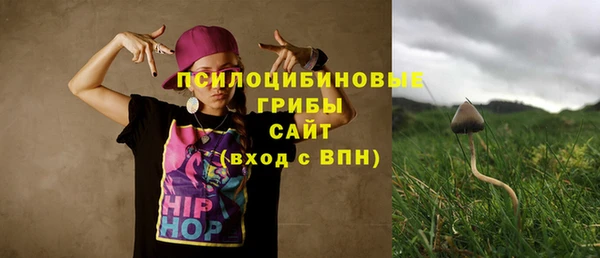 амф Ельня