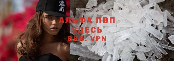 амф Ельня