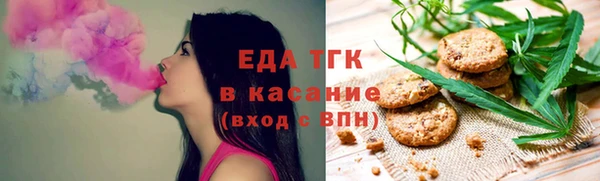 амф Ельня