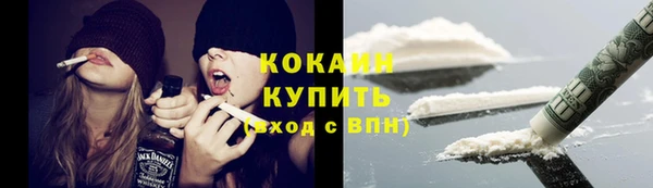 амф Ельня