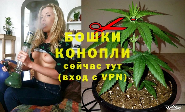 сатива Дмитров