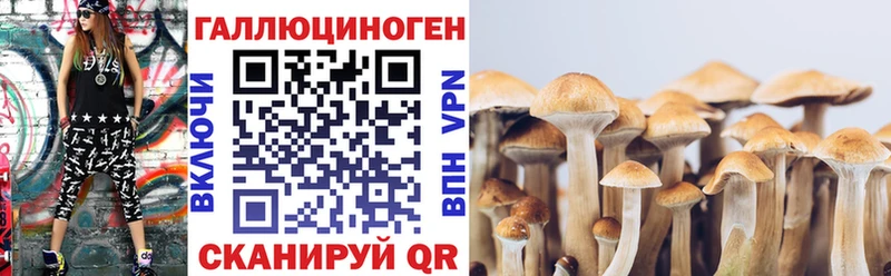 Псилоцибиновые грибы прущие грибы  закладки  Стерлитамак 